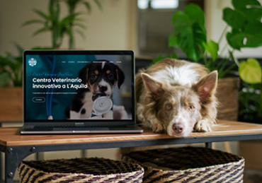 realizzazione sito web